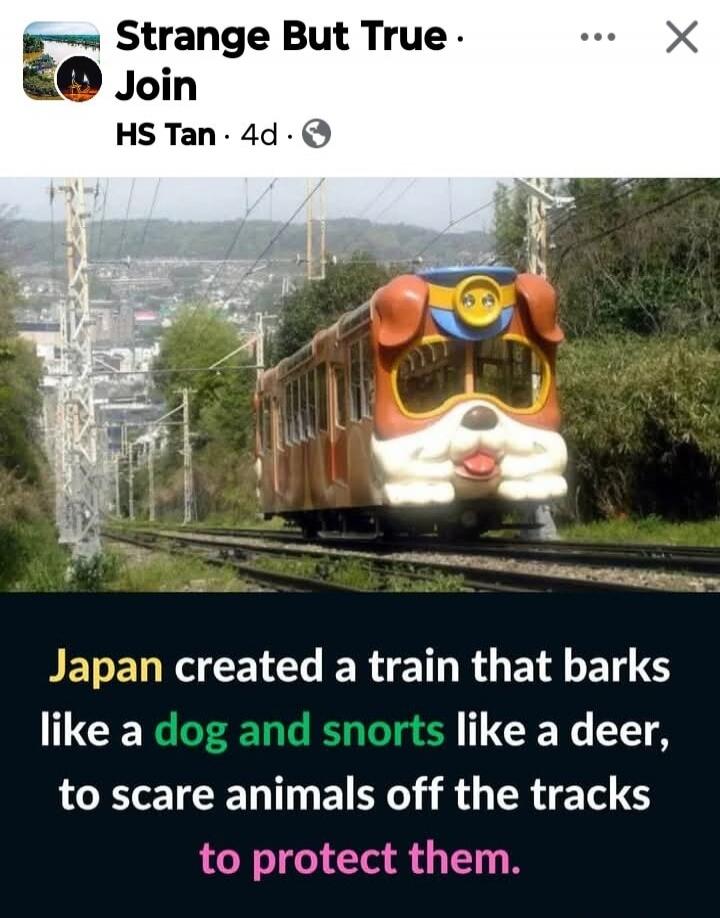 Strange But True. Join HS Tan. 4d. Japan created a train that barks like a dog and snorts like a deer, to scare animals off the tracks to protect them.