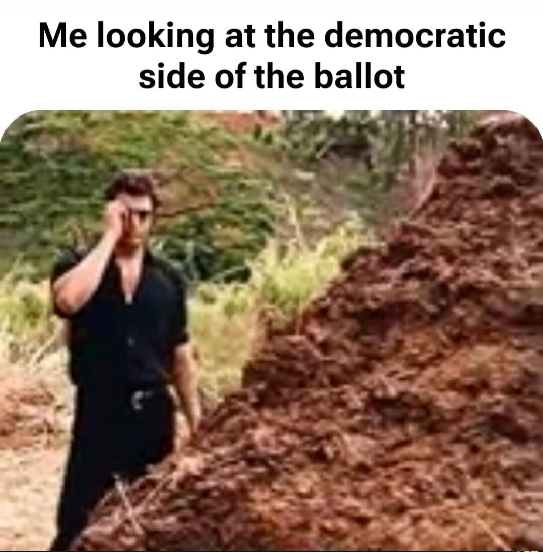 Me looking at the democratic side of the ballot