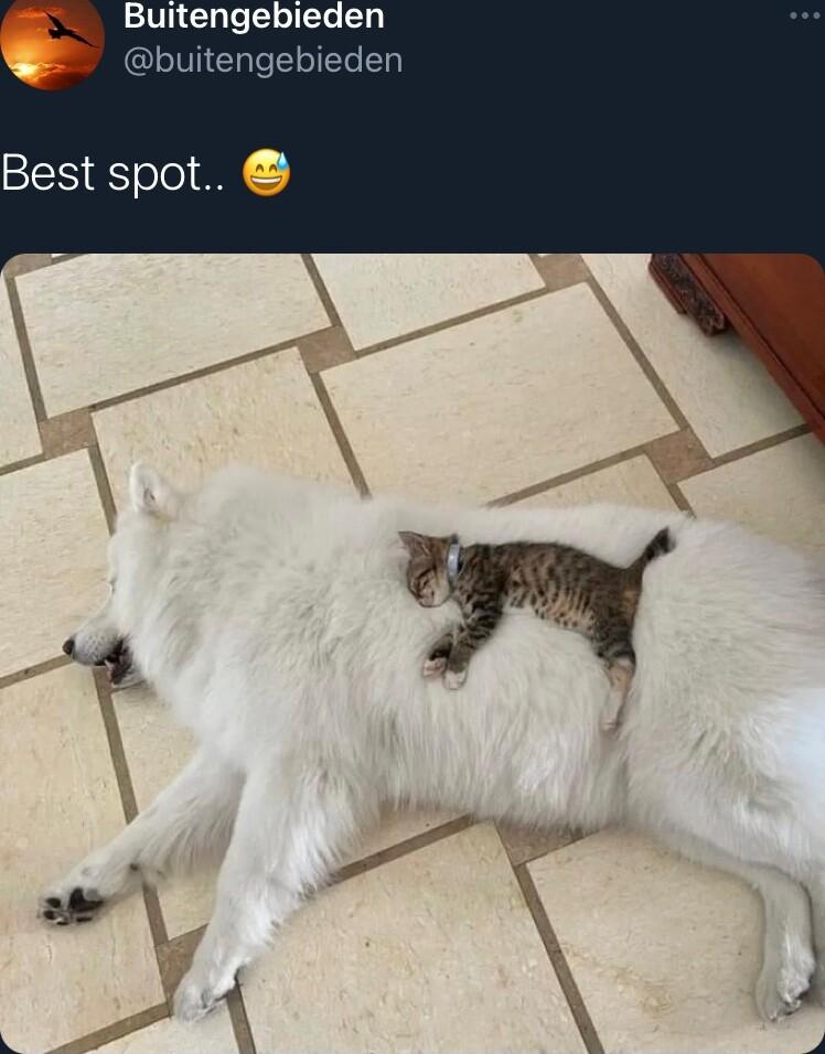 r Buitengebieden den