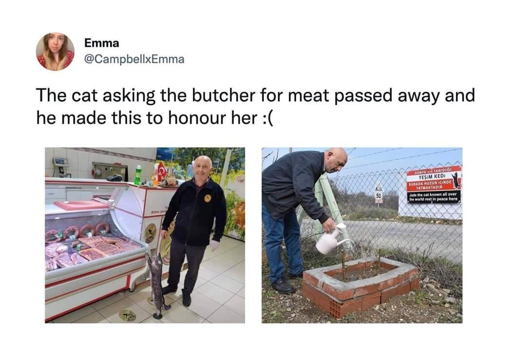 4 Emma PPy CampbellxEmma The cat asking the butcher for meat passed away and he made this to honour her