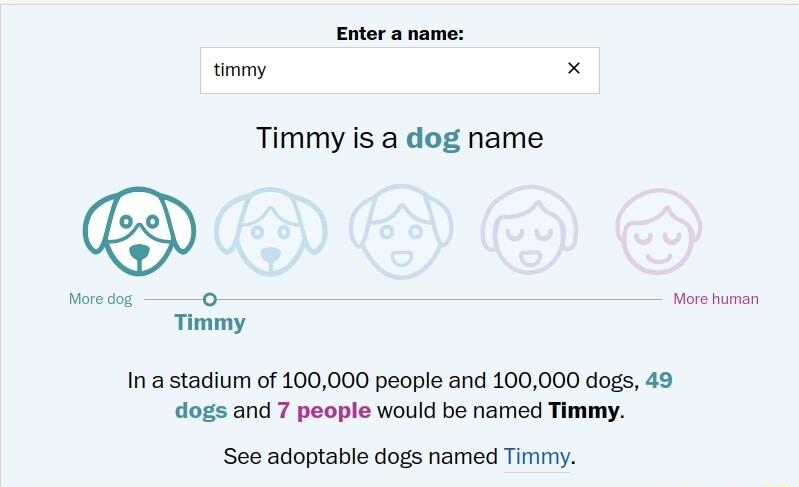 Entor a name timmy x Timmy is a dog name Noreiog 0 Mo uman Timmy Ina stadium of 100000 people and 100000 dogs 49 dogs and 7 people would be named Timmy See adoptable dogs named Timmy