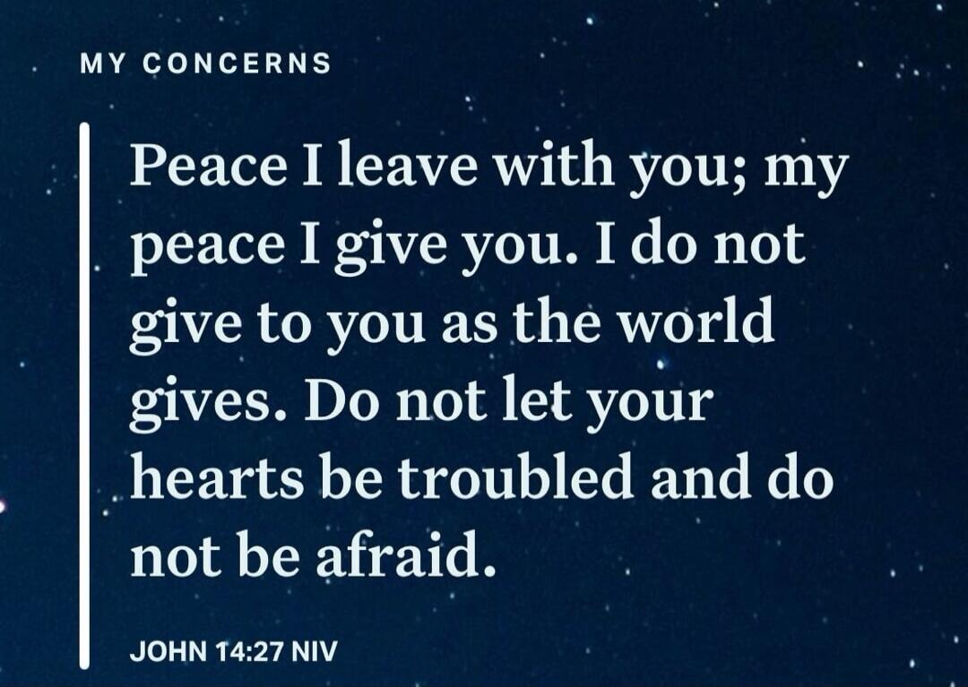 MY CONCERNS Peace I leave with you; my peace I give you. I do not give to you as the world gives. Do not let your hearts be troubled and do not be afraid. JOHN 14:27 NIV