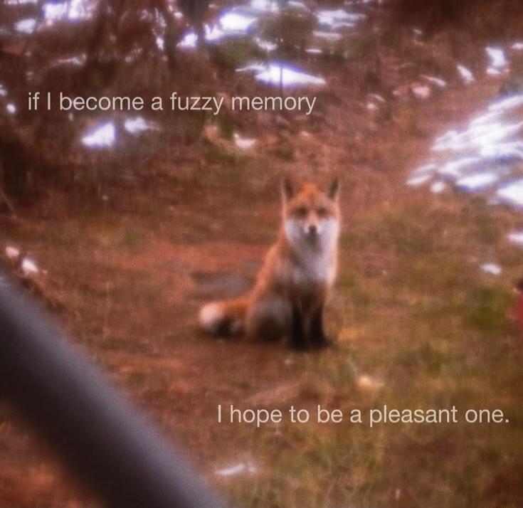 if I become a fuzzy memory I hope to be a pleasant one.