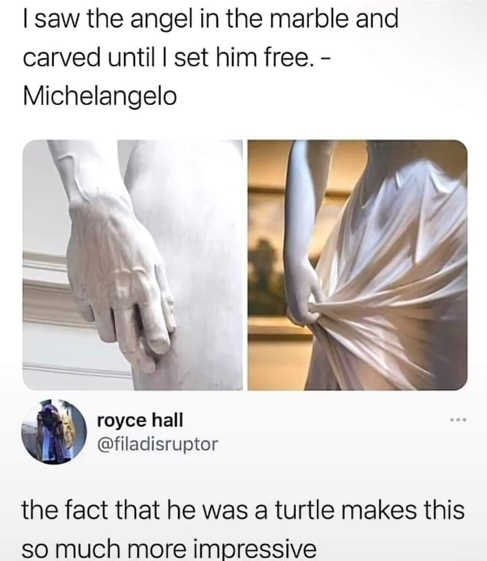 saw the angel in the marble and carved until set him free Michelangelo royce hall filadisruptor the fact that he was a turtle makes this SO much more impressive