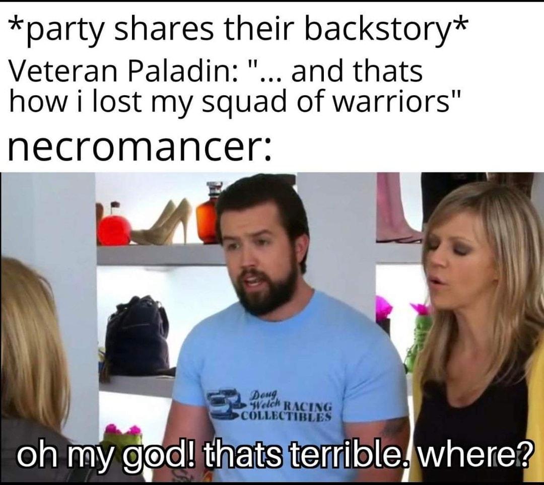 party shares their backstory Veteran Paladin and thats how i lost my squad of warriors necromancer