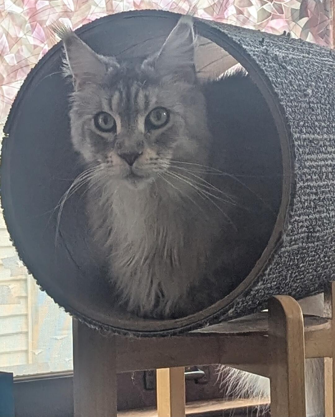 Session ID: 1044541.