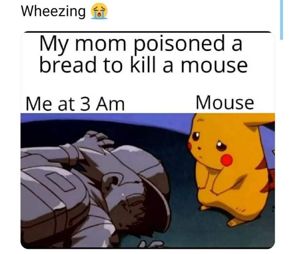 Wheezing My mom poisoned a bread to kill a mouse Me at 3 Am Mouse
