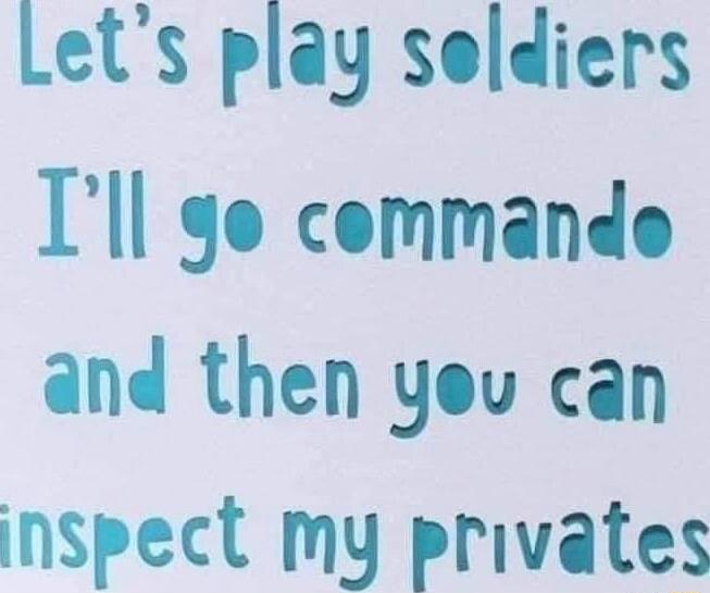 Lets play seldiers Ill 90 commande and then you can inspect my privates