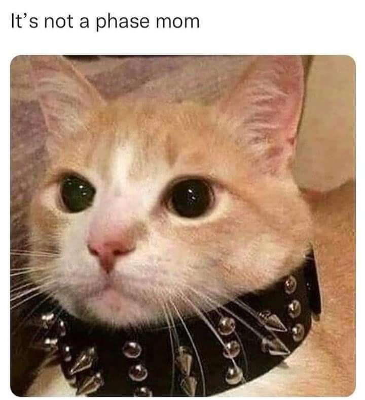 Its not a phase mom