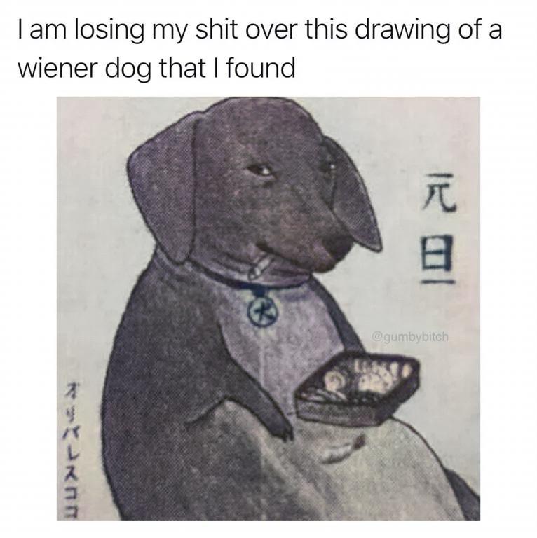 am losing my shit over this drawing of a wiener dog that found LUuXNeIsN