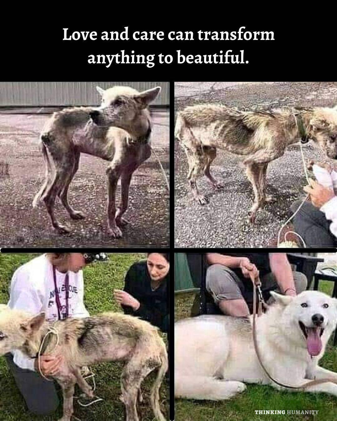 Love and care can transform anything to beautiful