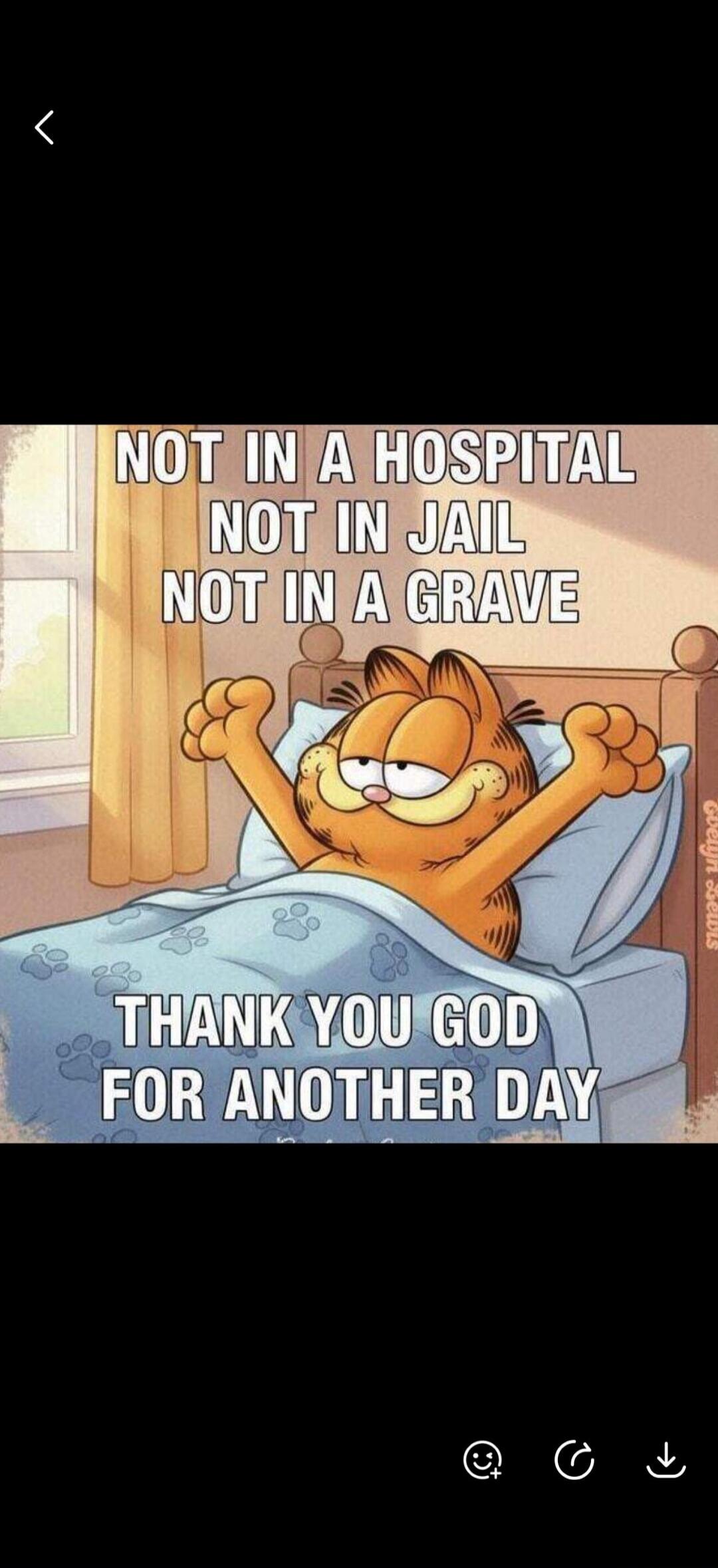 NOT IN A HOSPITAL NOT IN JAIL NOT IN A GRAVE THANK YOU GOD FOR ANOTHER DAY
