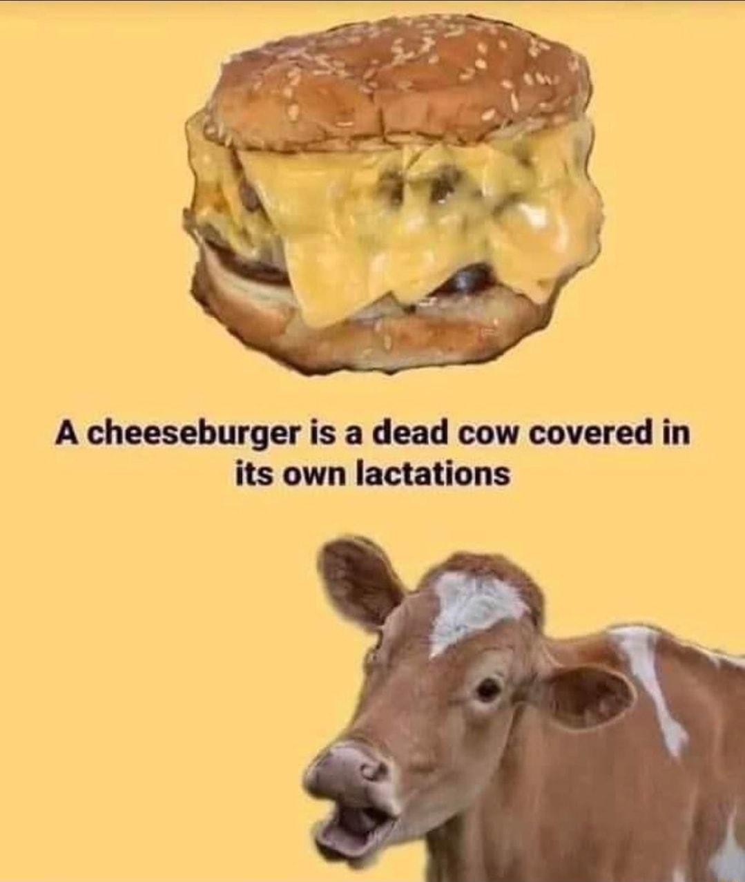 A cheeseburger is a dead cow covered in its own lactations