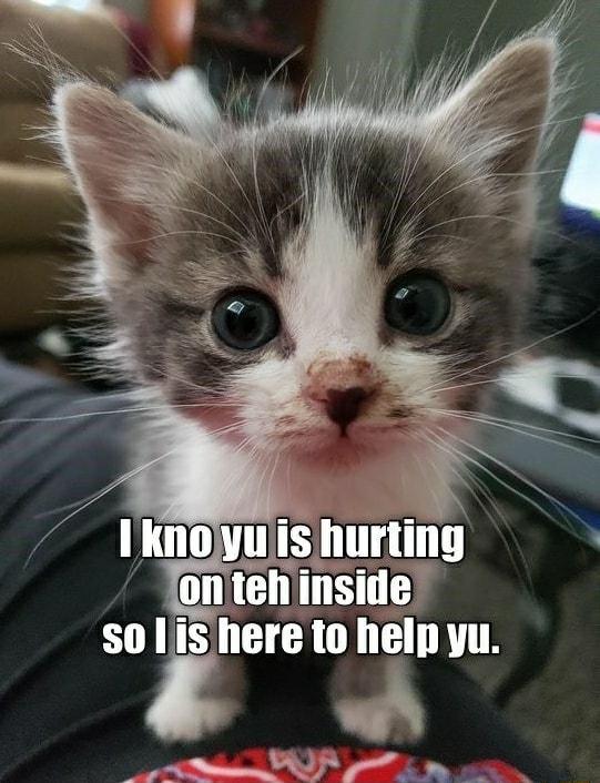 Iknojyujis Ilumng ontehinside S0 sere to helpyu Al_f h N