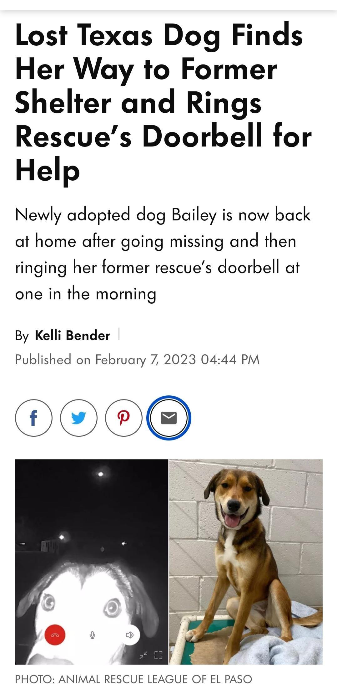 Lost Texas Dog Finds Her Way to Former Shelter and Rings Rescues Doorbell for Help Newly adopted dog Bailey is now back at home after going missing and then ringing her former rescues doorbell at one in the morning By Kelli Bender Published on February 7 2023 0444 PM OO PHOTO ANIMAL RESCUE LEAGUE OF EL PASO
