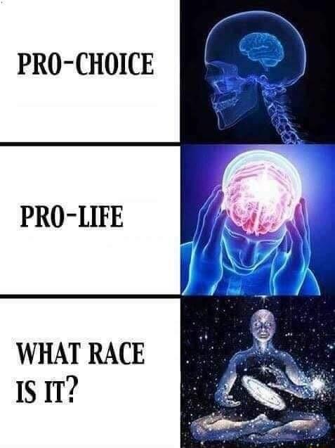 PRO CHOICE PRO LIFE WHAT RACE ISIT