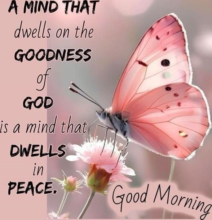 A MIND THAT dwells on the GOODNESS of GOD is a mind that DWELLS in PEACE. Good Morning