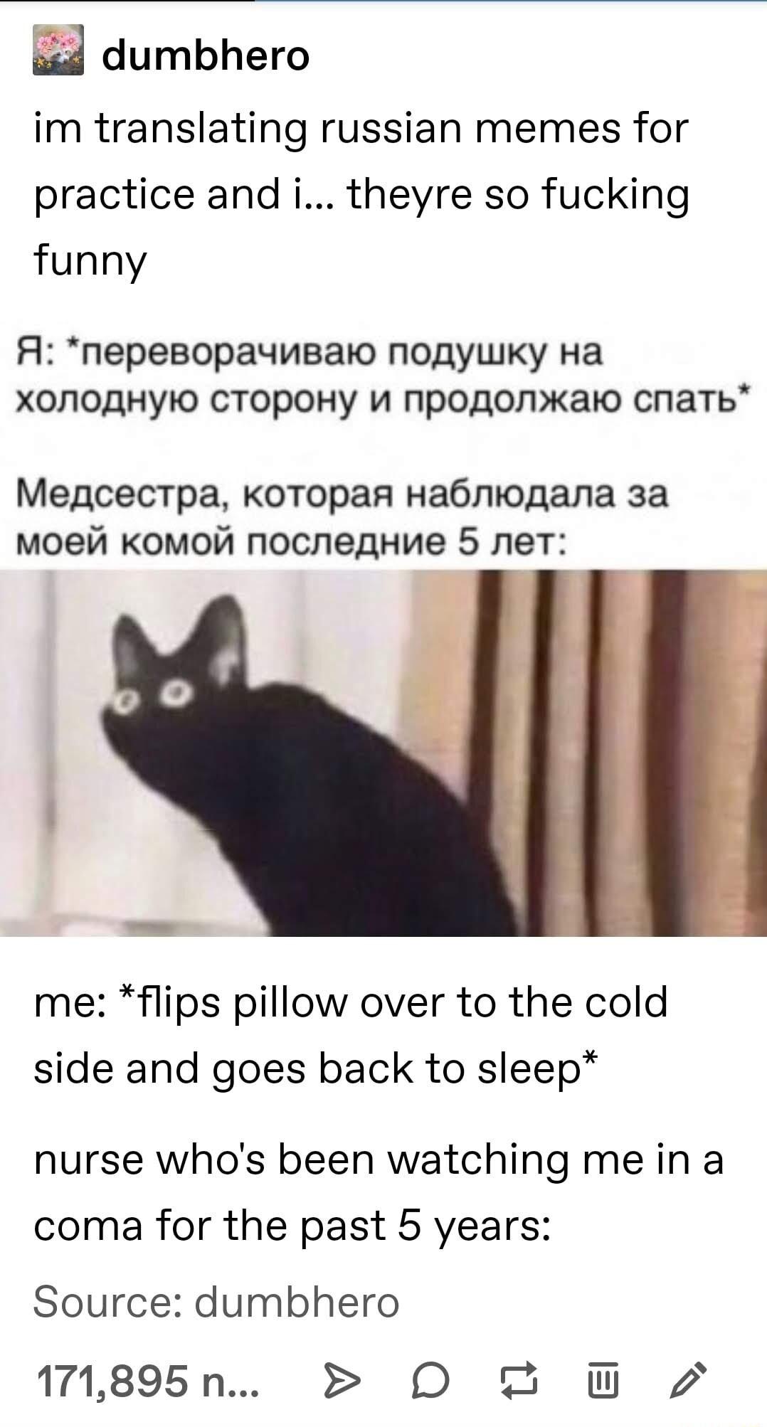 id dumbhero im translating russian memes for practice and i theyre so fucking funny A nepeBopaymsalo NOAYyLWKY Ha XONOAHYIO CTOPOHY M NPOAOKAID cnaTh MepcecTpa koTopana Habnioaana 3a Moelt KOMOW nocneaHue 5 net me flips pillow over to the cold side and goes back to sleep nurse whos been watching me in a coma for the past 5 years Source dumbhero 171895n O O 2