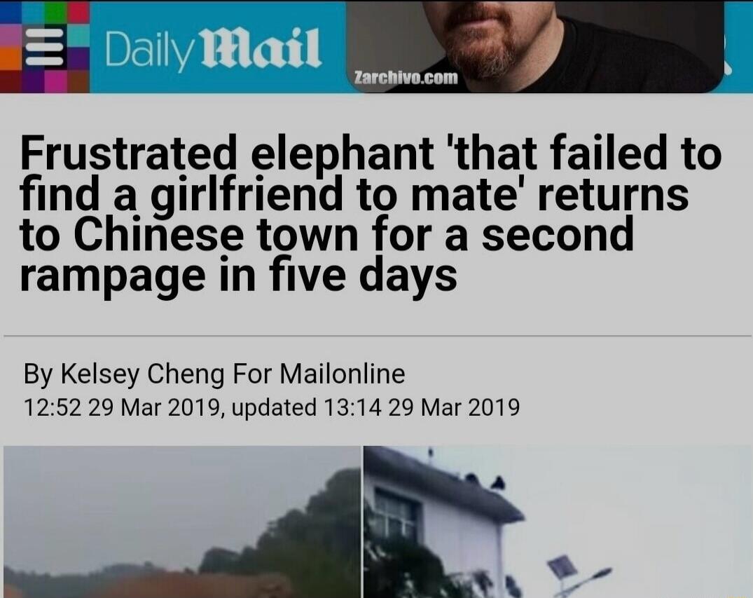 Daily Mail Zarchivo.com Frustrated elephant 'that failed to find a girlfriend to mate' returns to Chinese town for a second rampage in five days By Kelsey Cheng For Mailonline 12:52 29 Mar 2019, updated 13:14 29 Mar 2019