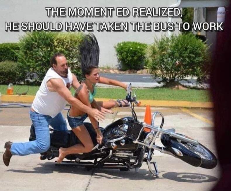 THE MOMENT ED REALIZED, HE SHOULD HAVE TAKEN THE BUS TO WORK