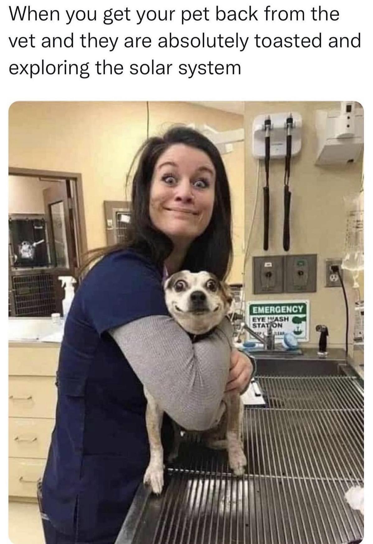 When you get your pet back from the vet and they are absolutely toasted and exploring the solar system