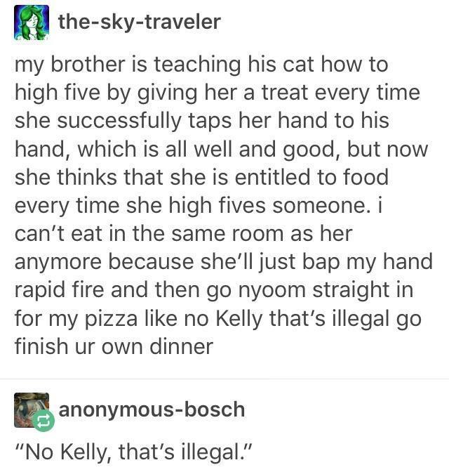 the sky traveler my brother is teaching his cat how to high five by giving her a treat every time she successfully taps her hand to his hand which is all well and good but now she thinks that she is entitled to food every time she high fives someone i cant eat in the same room as her anymore because shell just bap my hand rapid fire and then go nyoom straight in for my pizza like no Kelly thats il