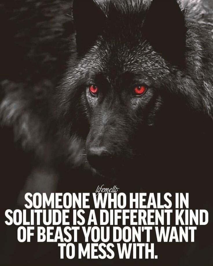 SOMEONE WHO HEALS IN SOLITUDE IS A DIFFERENT KIND OF BEAST YOU DON'T WANT TO MESS WITH.