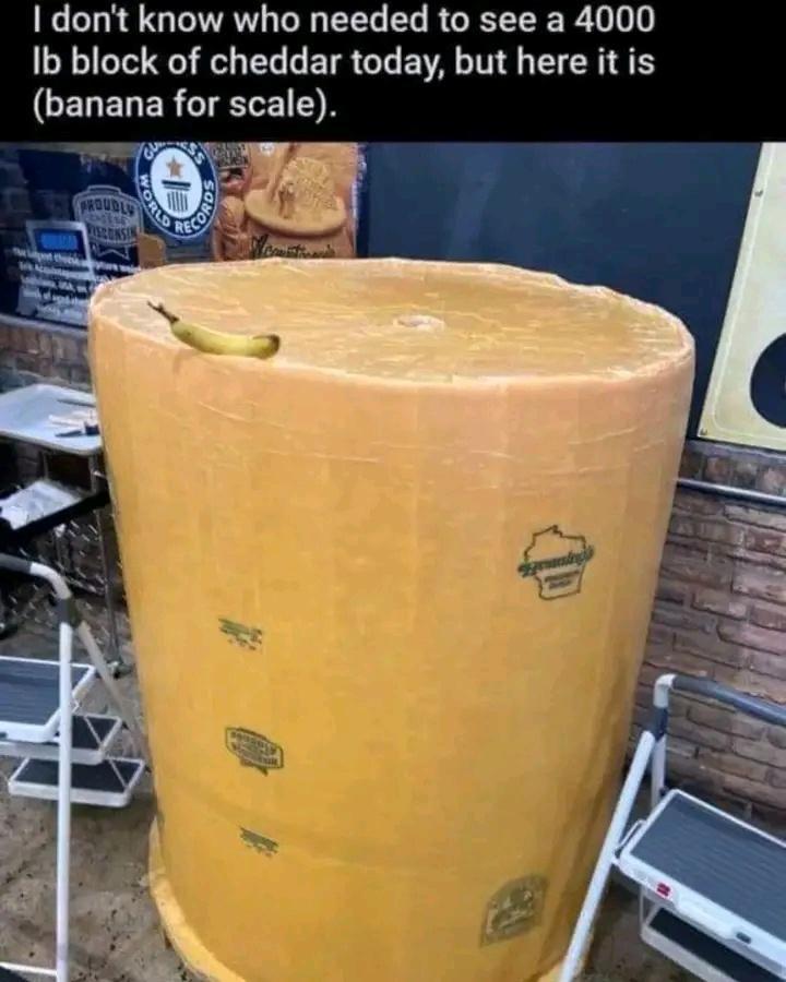 dont know who needed to see a 4000 Ib block of cheddar today but here it is CELELERCTELEIN