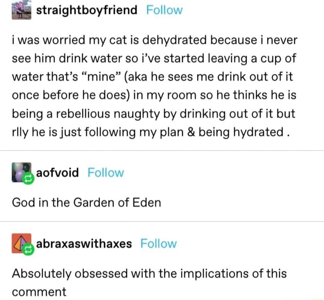 88 straightboyfriend Follow iwas worried my cat is dehydrated because i never see him drink water so ive started leaving a cup of water thats mine aka he sees me drink out of it once before he does in my room so he thinks he is being a rebellious naughty by drinking out of it but rlly he is just following my plan being hydrated 1 sofvoid Folow God in the Garden of Eden abraxaswithaxas Follow Absol