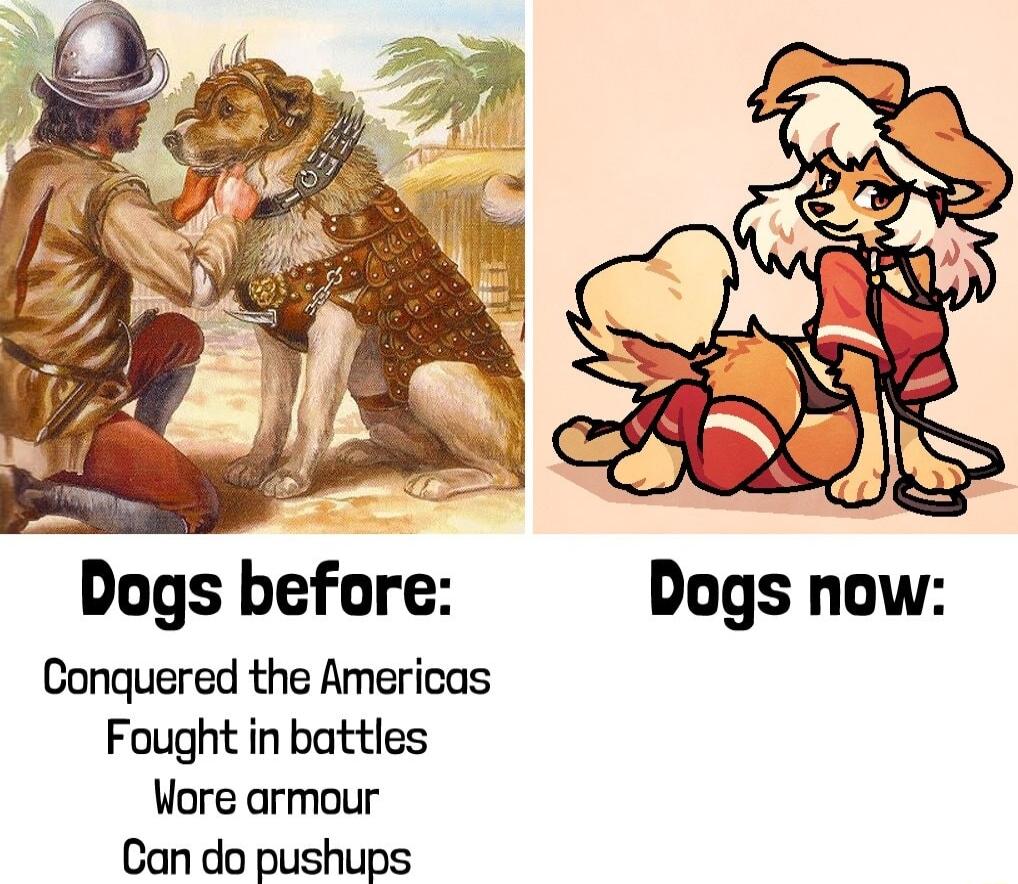 Dogs before Dogs now Conquered the Americas Fought in battles Wore armour Can do pushups