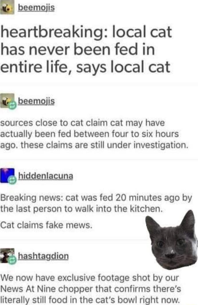 heartbreaking local cat has never been fed in entire life says local cat X beemoiis sources close to cat claim cat may have actually been fed between four to six hours ago these claims are still under investigation WP hiddeniacuna Breaking news cat was fed 20 minutes ago by the last person to walk into the kitchen Cat claims fake mews hashtagdion We now have exclusive footage shot by our News At N