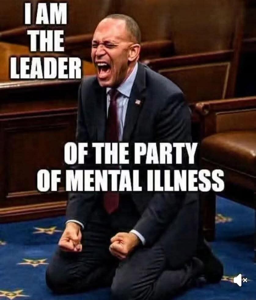 I AM THE LEADER OF THE PARTY OF MENTAL ILLNESS