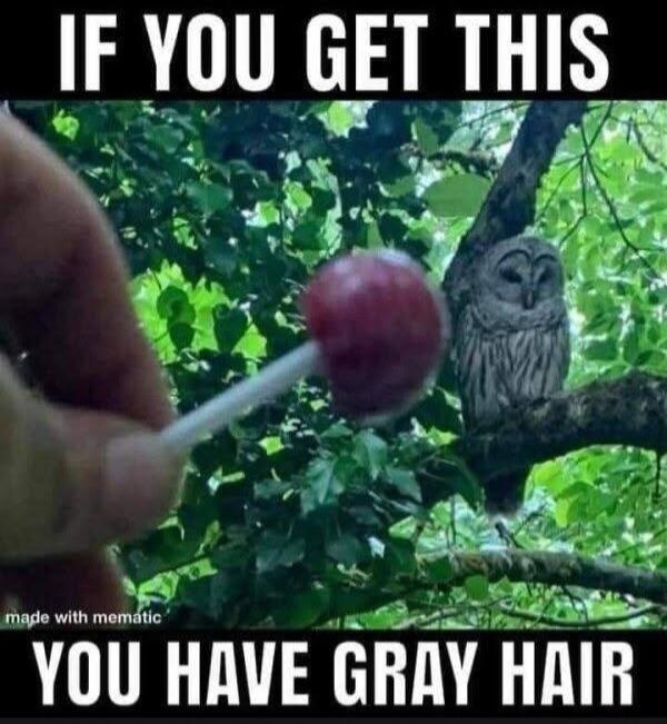 IF YOU GET THIS YOU HAVE GRAY HAIR made with mematic