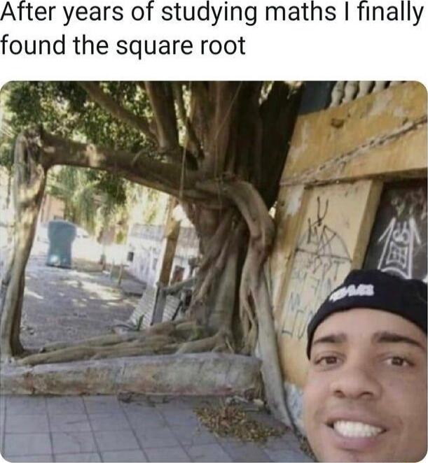 After years of studying maths finally ound the square root