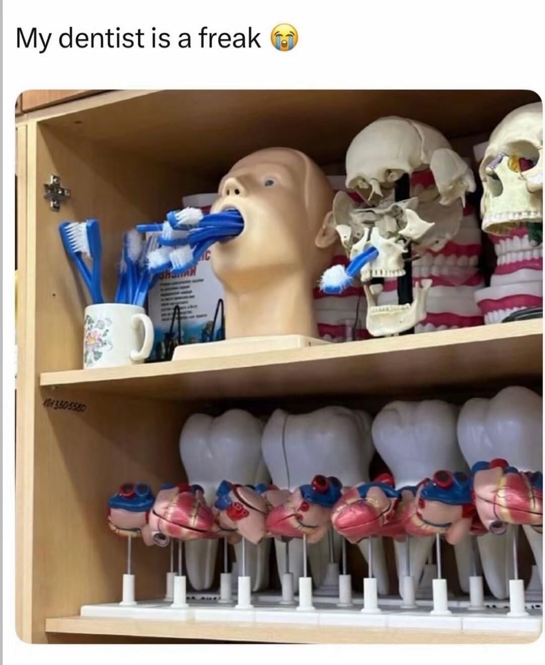 My dentist is a freak 😭
