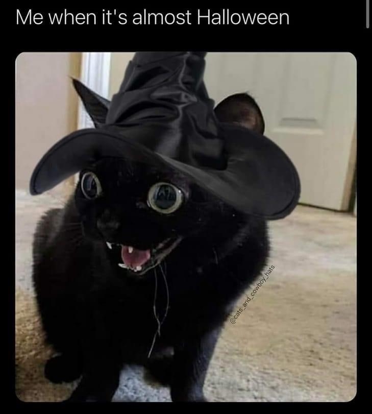Me when its almost Halloween 2 558 20220909 Twitter for Android L GENEEEE RN CRTEE S 7 QRIES