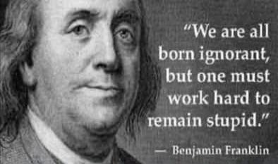 We are all born ignorant, but one must work hard to remain stupid.