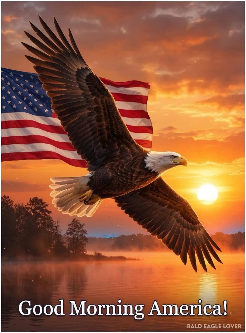 Good Morning America! BALD EAGLE LOVER