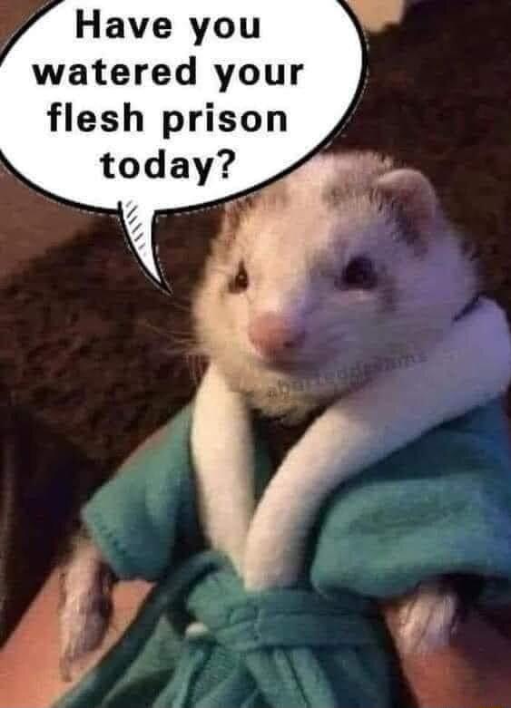 Have you watered your flesh prison today