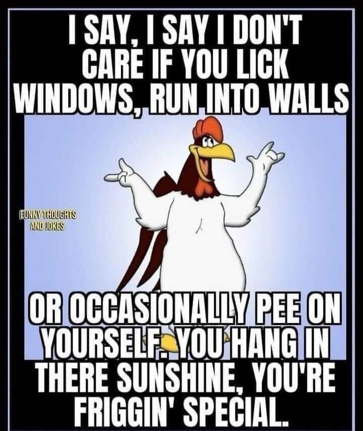 I SAY, I SAY I DON'T CARE IF YOU LICK WINDOWS, RUN INTO WALLS OR OCCASIONALLY PEE ON YOURSELF. YOU HANG IN THERE SUNSHINE, YOU'RE FRIGGIN' SPECIAL. FUNNY THOUGHTS AND JOKES