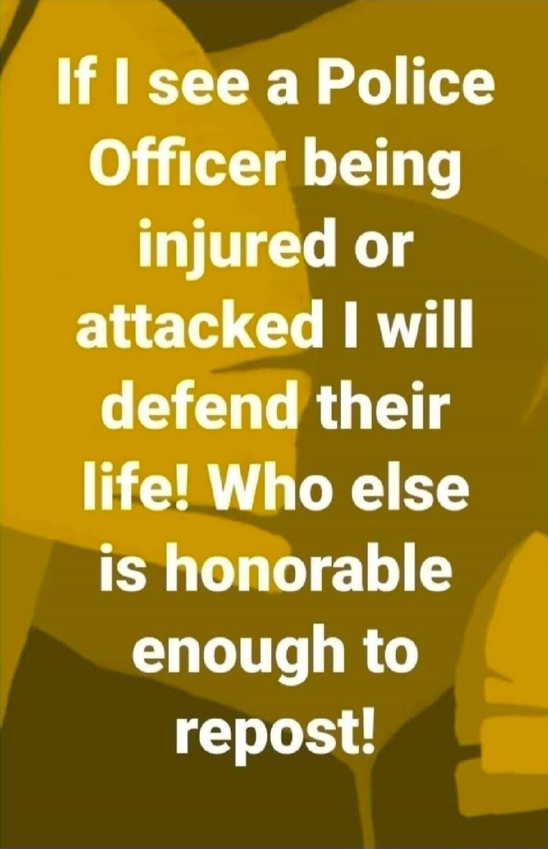 If I see a Police Officer being injured or attacked I will defend their life! Who else is honorable enough to repost!