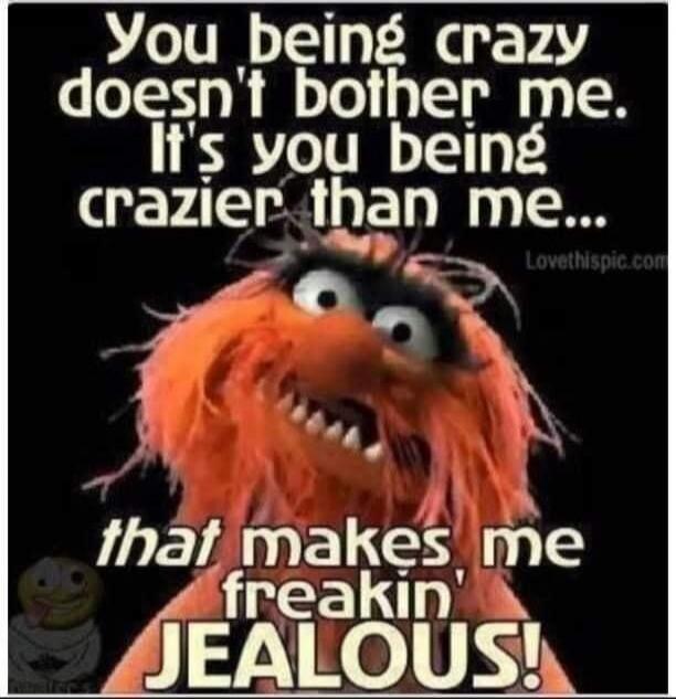 You being crazy doesn't bother me. It's you being crazier than me... that makes me freakin' JEALOUS! Lovethispic.com