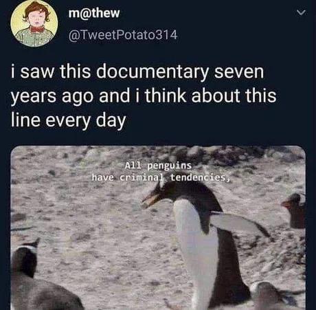mthew v QINEE Gl E RIS i saw this documentary seven VCEIEEL LR G ET LN G line every day