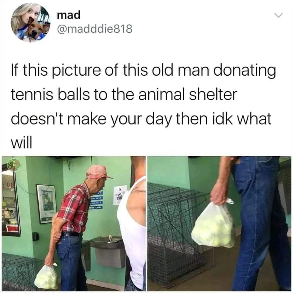 M mad madddie818 If this picture of this old man donating tennis balls to the animal shelter doesnt make your day then idk what