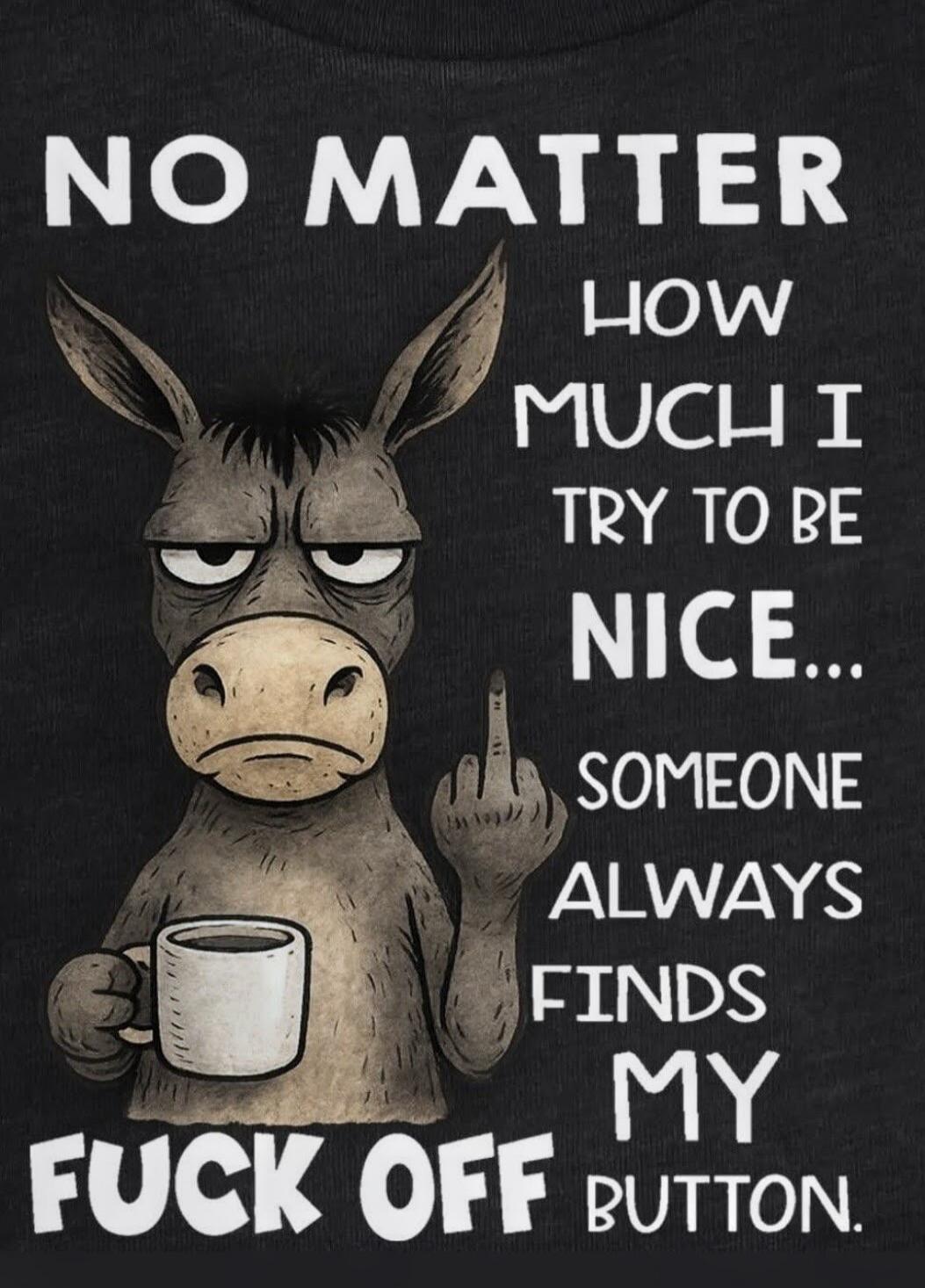 NO MATTER HOW MUCH I TRY TO BE NICE... SOMEONE ALWAYS FINDS MY FUCK OFF BUTTON.