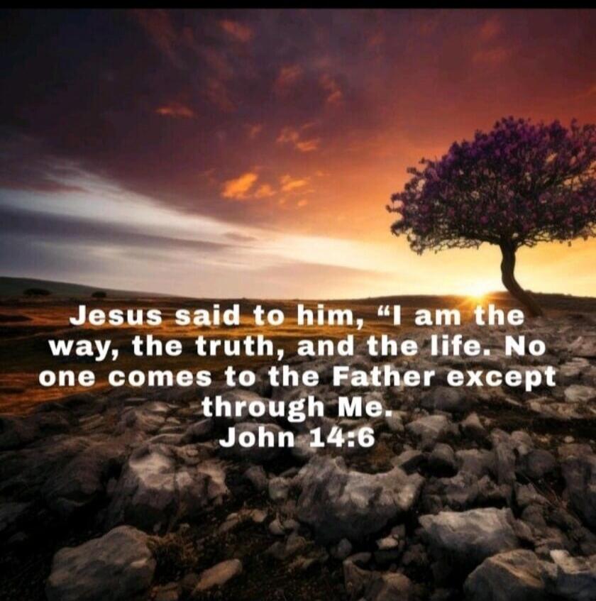Jesus said to him, “I am the way, the truth, and the life. No one comes to the Father except through Me. John 14:6