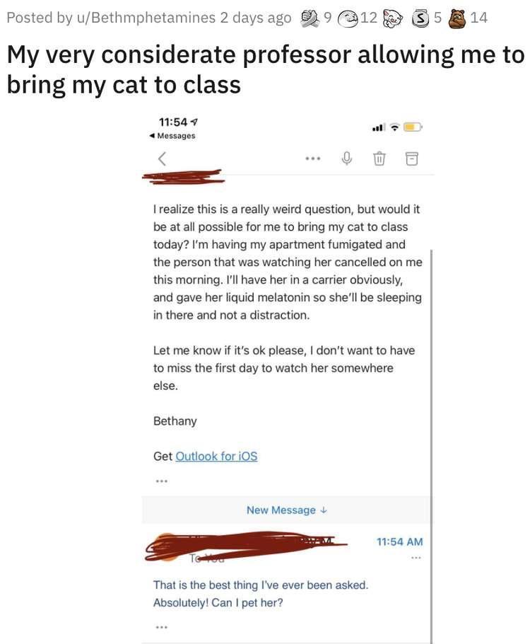 Posted by uBethmphetamines 2 days ago 9 12 5 14 My very considerate professor allowing me to bring my cat to class 1549 hessages w0 w8 I realize this is a really weird question but would it be at all possible for me to bring my cat to class today Im having my apartment fumigated and the person that was watching her cancelled on me this morning Il have her in a carrier obviously and gave her liquid