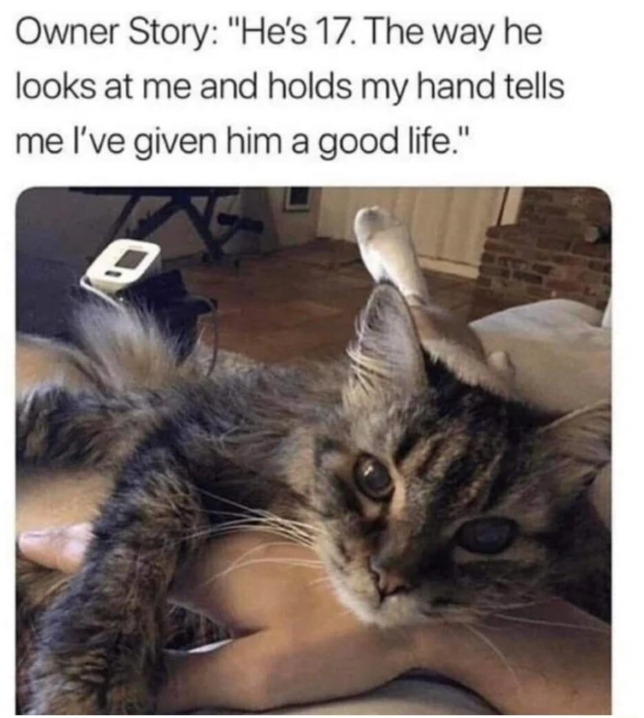 Owner Story Hes 17 The way he looks at me and holds my hand tells me Ive given him a good life