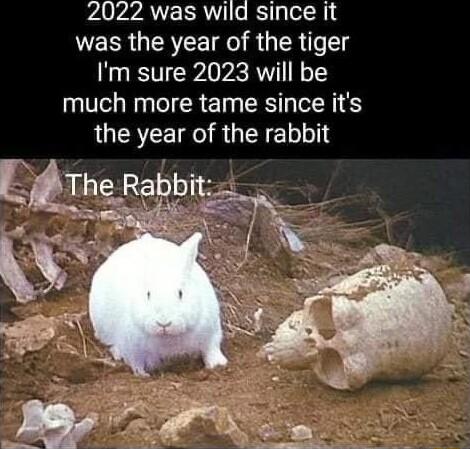 PAVZVA R o RS y o1 was the year of the tiger Im sure 2023 will be much more tame since its the year QRUEEE