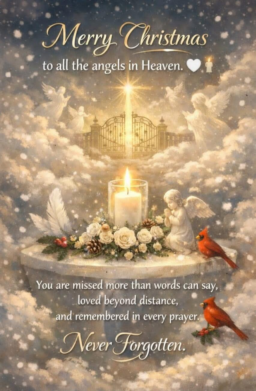 Merry Christmas to all the angels in Heaven. You are missed more than words can say, loved beyond distance, and remembered in every prayer. Never Forgotten.